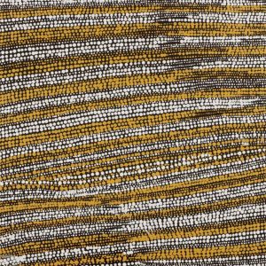 Mina Mina Jukurrpa (Mina Mina Dreaming) by Sabrina Napangardi Granites