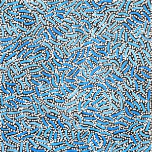 Warlukurlangu Jukurrpa (Fire country Dreaming) by Nathania Nangala Granites