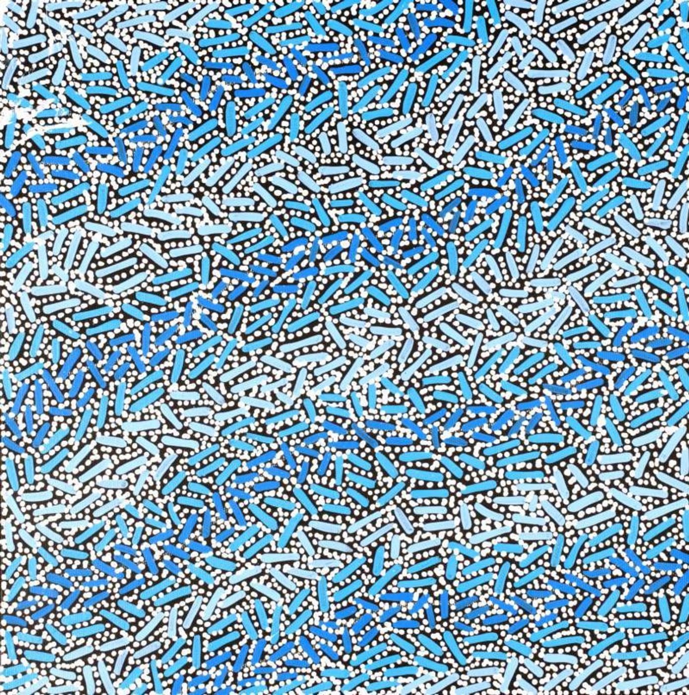 Warlukurlangu Jukurrpa (Fire country Dreaming) by Nathania Nangala Granites