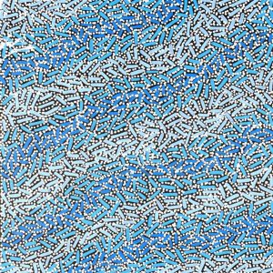 Warlukurlangu Jukurrpa (Fire country Dreaming) by Nathania Nangala Granites