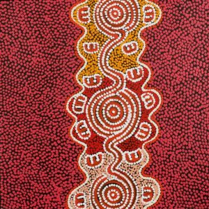 Janganpa Jukurrpa (Brush-tail Possum Dreaming)-  Mawurrji by Ritasha Nampijinpa Martin