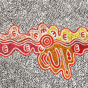 Jajirrdi manu Janganpa Jukurrpa (Western Quoll & Possum Dreaming) - Yakurdyi by Ritasha Nampijinpa Martin