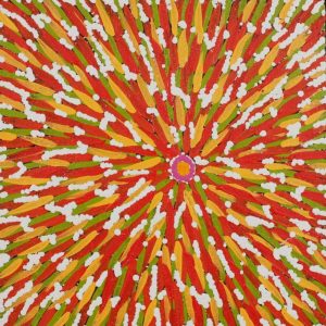 Karnta Jukurrpa (Women's Dreaming) - Bush Medicine by Helen Napaljarri Dixon