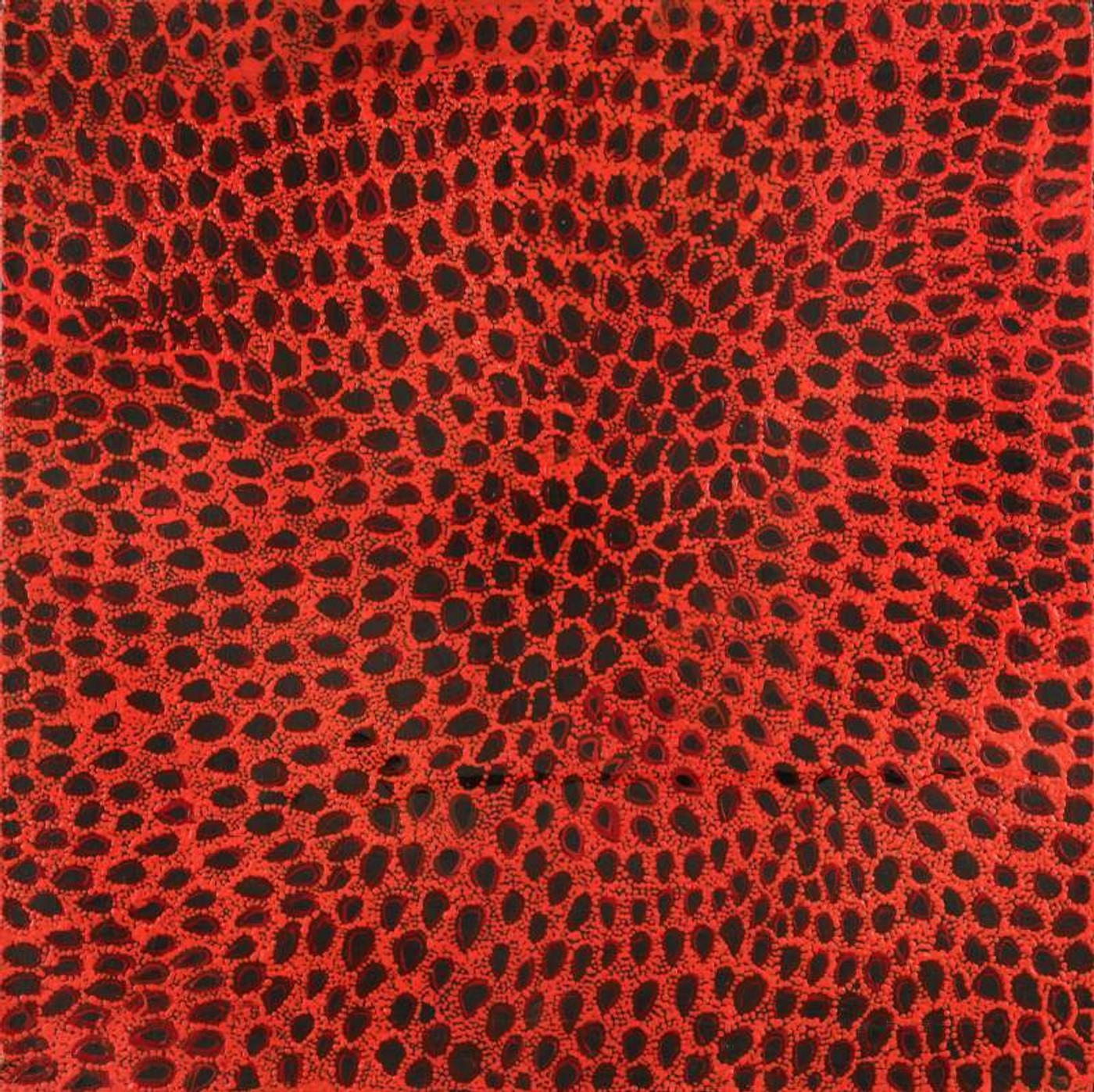 Ngurlu Jukurrpa (Native Seed Dreaming) by Maisie Napurrurla Wayne