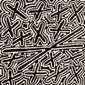 Ngatijirri Jukurrpa (Budgerigar Dreaming) by Kenneth Jungarrayi Martin