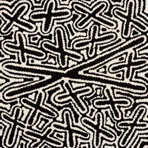 Ngatijirri Jukurrpa (Budgerigar Dreaming) by Kenneth Jungarrayi Martin