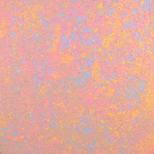 Wardapi Jukurrpa (Goanna Dreaming) - Yarripilangu by Ruth Nungarrayi Spencer