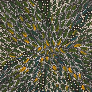 Wardapi Jukurrpa (Goanna Dreaming) - Yarripilangu by Sebastian Jupurrurla Wilson