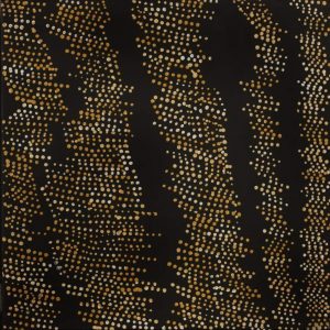 Mina Mina Jukurrpa (Mina Mina Dreaming) by Sabrina Napangardi Granites