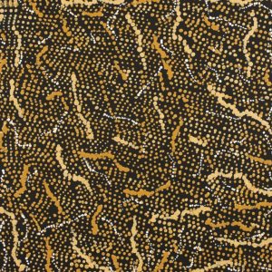 Mina Mina Jukurrpa (Mina Mina Dreaming) by Sabrina Napangardi Granites