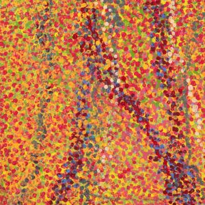 Wardapi Jukurrpa (Goanna Dreaming) - Yarripilangu by Ruth Nungarrayi Spencer