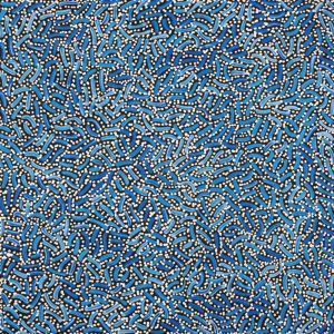 Warlukurlangu Jukurrpa (Fire country Dreaming) by Nathania Nangala Granites