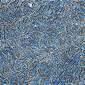 Warlukurlangu Jukurrpa (Fire country Dreaming) by Nathania Nangala Granites