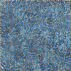 Warlukurlangu Jukurrpa (Fire country Dreaming) by Nathania Nangala Granites