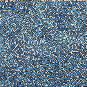 Warlukurlangu Jukurrpa (Fire country Dreaming) by Nathania Nangala Granites