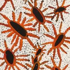 Jintiparnta Jukurrpa (Desert Truffle Dreaming) - Mina Mina by Cherylyn Napangardi Granites