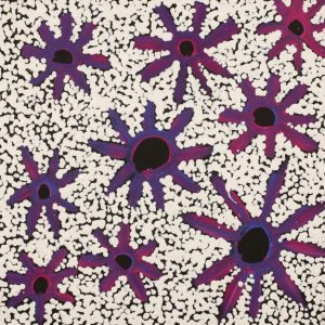 Jintiparnta Jukurrpa (Desert Truffle Dreaming) - Mina Mina by Cherylyn Napangardi Granites