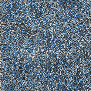 Warlukurlangu Jukurrpa (Fire country Dreaming) by Nathania Nangala Granites