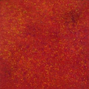 Wardapi Jukurrpa (Goanna Dreaming) - Yarripilangu by Ruth Nungarrayi Spencer