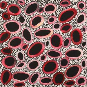 Nguru Yurntumu-wana (Country around Yuendumu) by Cherylyn Napangardi Granites