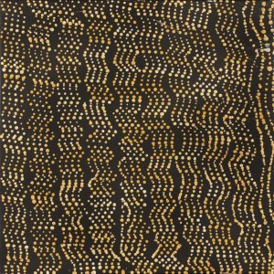 Mina Mina Jukurrpa (Mina Mina Dreaming) by Sabrina Napangardi Granites