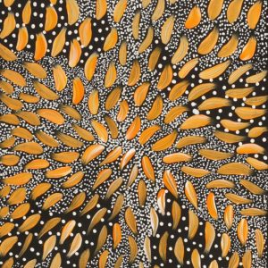 Wardapi Jukurrpa (Goanna Dreaming) - Yarripilangu by Sebastian Jupurrurla Wilson