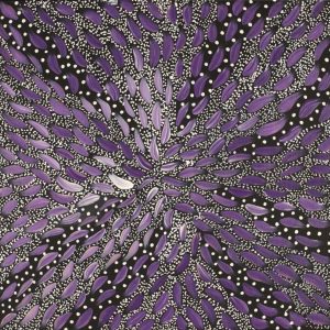 Wardapi Jukurrpa (Goanna Dreaming) - Yarripilangu by Sebastian Jupurrurla Wilson