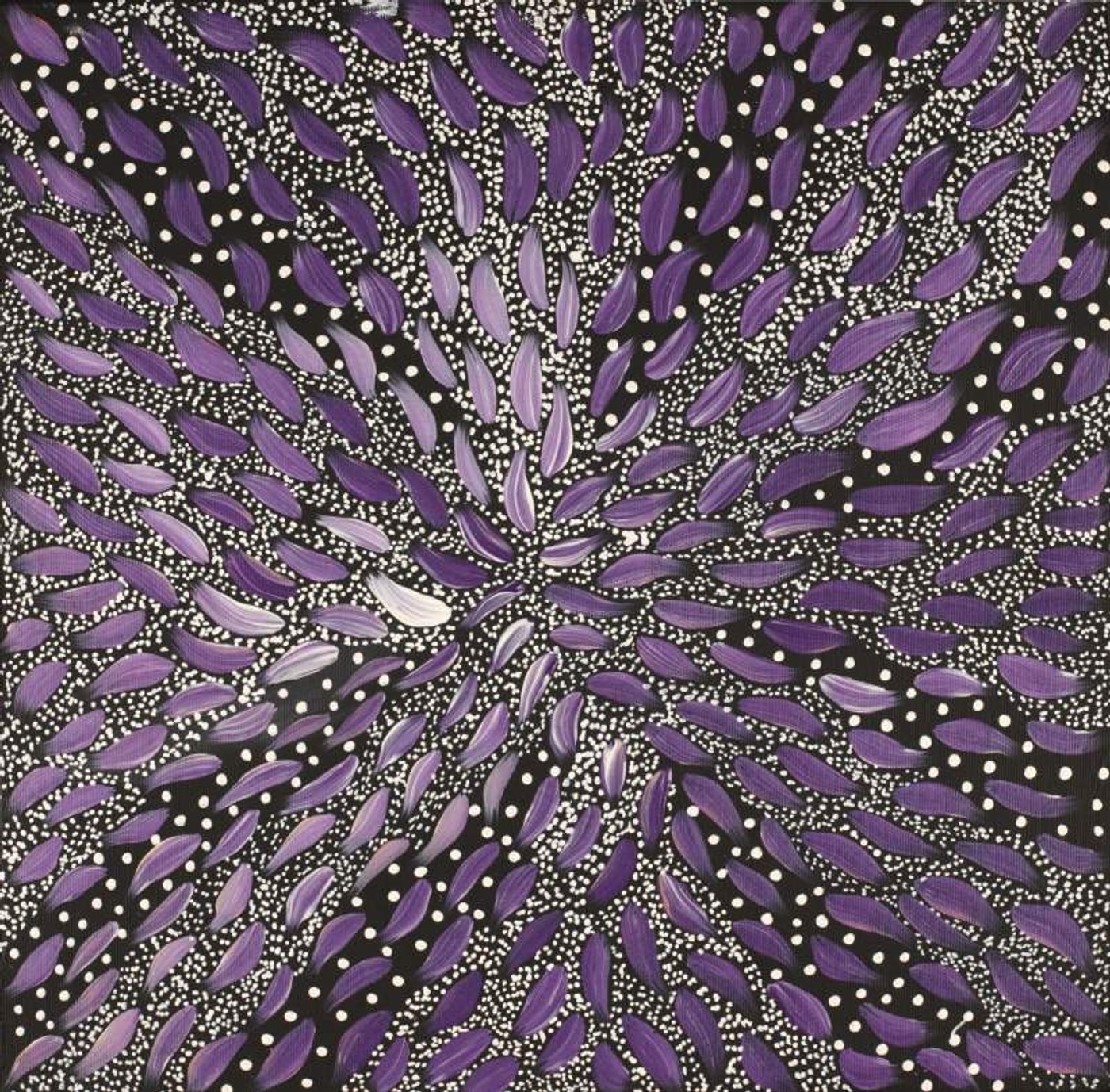 Wardapi Jukurrpa (Goanna Dreaming) - Yarripilangu by Sebastian Jupurrurla Wilson