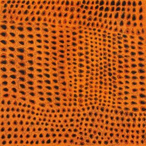 Ngurlu Jukurrpa (Native Seed Dreaming) by Maisie Napurrurla Wayne