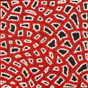 Ngapa Jukurrpa (Water Dreaming)  -  Puyurru by Delores Nangala Robertson