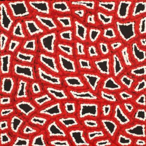 Ngapa Jukurrpa (Water Dreaming)  -  Puyurru by Delores Nangala Robertson