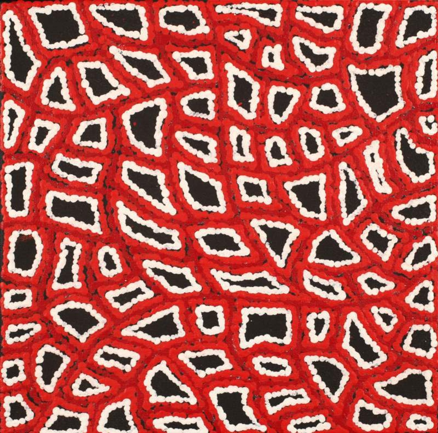 Ngapa Jukurrpa (Water Dreaming) - Puyurru by Delores Nangala Robertson
