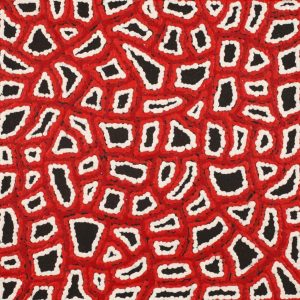 Ngapa Jukurrpa (Water Dreaming)  -  Puyurru by Delores Nangala Robertson