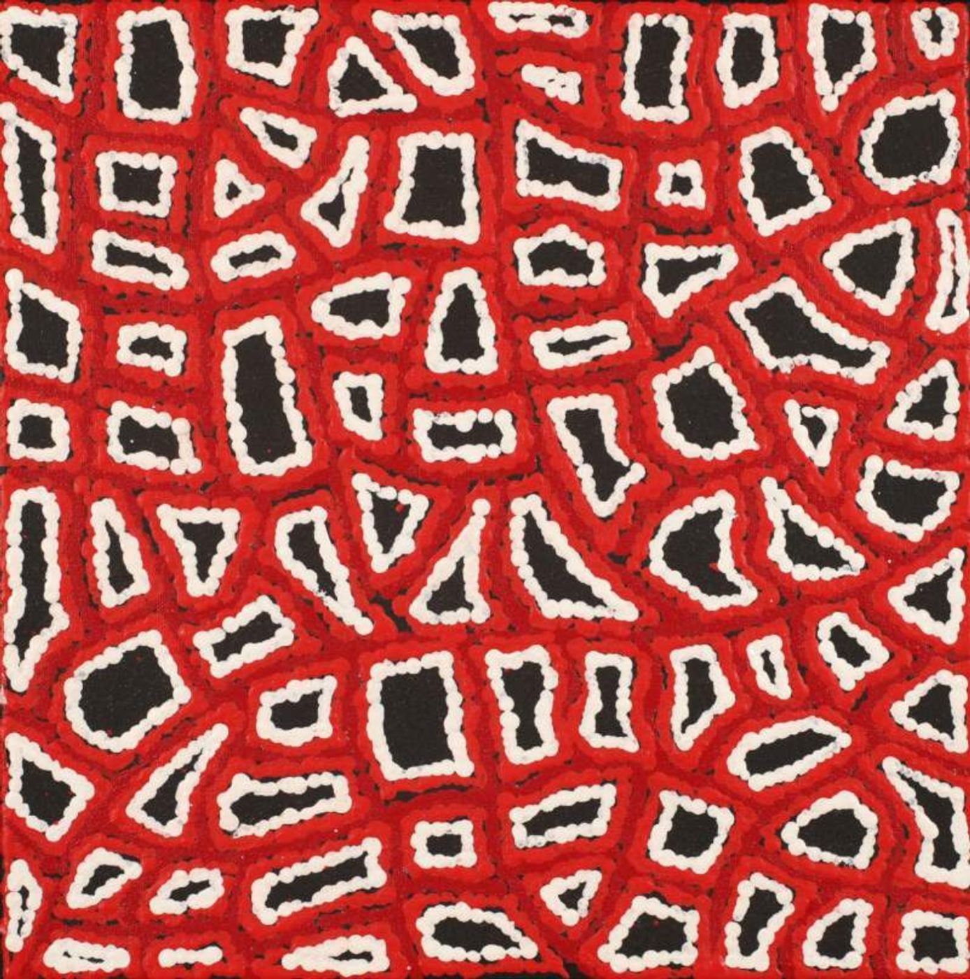 Ngapa Jukurrpa (Water Dreaming) - Puyurru by Delores Nangala Robertson