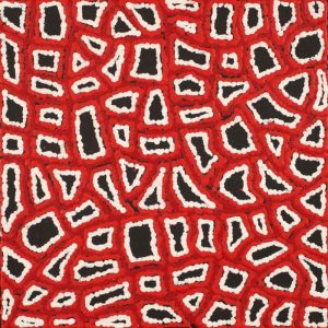 Ngapa Jukurrpa (Water Dreaming)  -  Puyurru by Delores Nangala Robertson