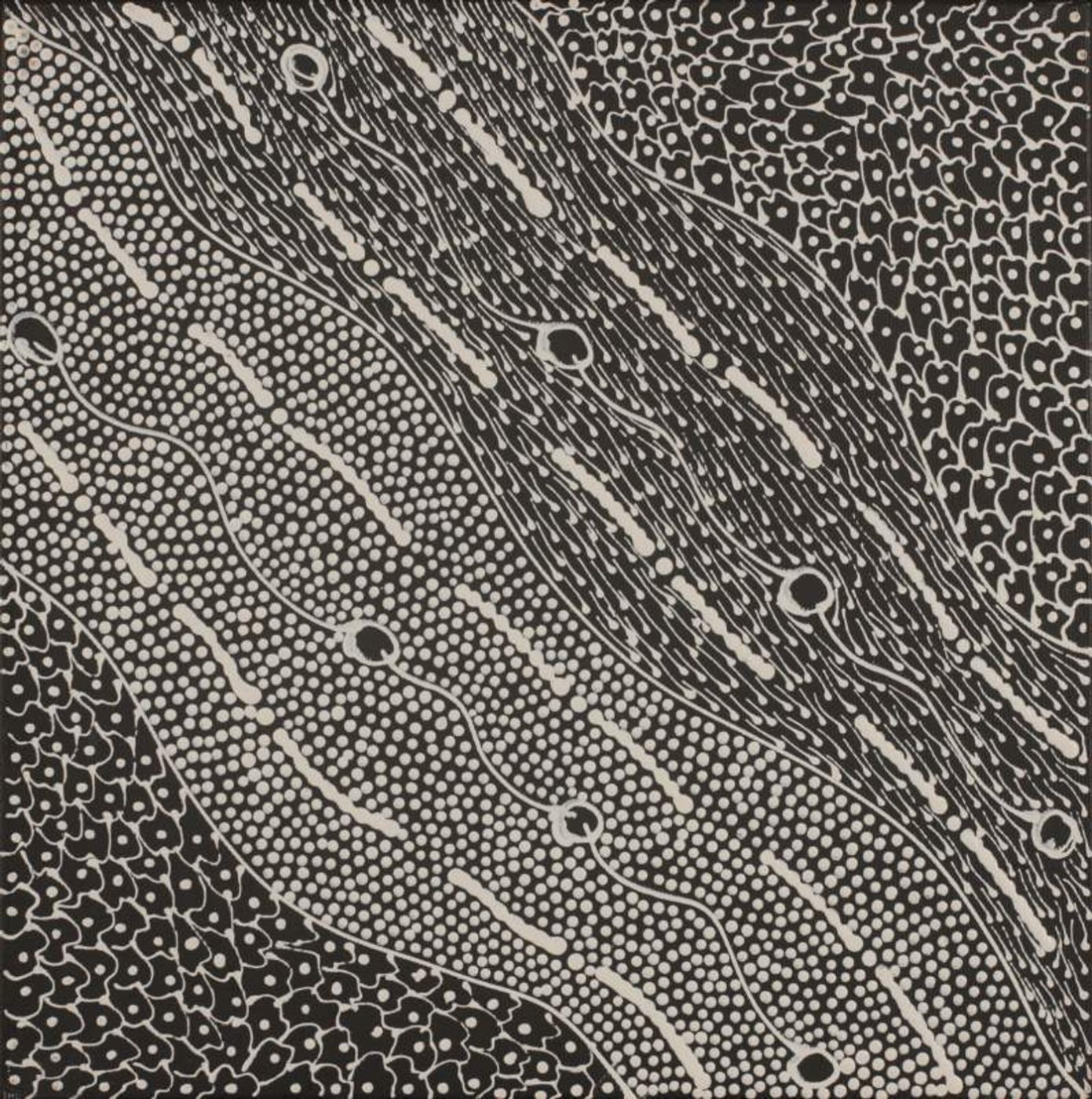 Pikilyi Jukurrpa (Vaughan Springs Dreaming) by Mary Napangardi Butcher