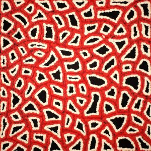 Ngapa Jukurrpa (Water Dreaming)  -  Puyurru by Delores Nangala Robertson