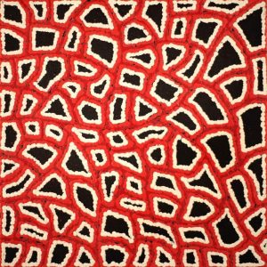 Ngapa Jukurrpa (Water Dreaming)  -  Puyurru by Delores Nangala Robertson