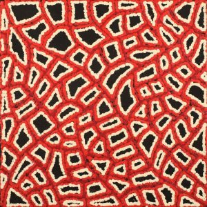 Ngapa Jukurrpa (Water Dreaming)  -  Puyurru by Delores Nangala Robertson