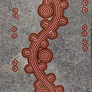 Pamapardu Jukurrpa (Flying Ant Dreaming)  - Warntungurru by Kara Napangardi Ross