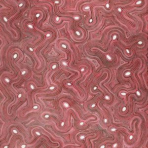 Yarla Jukurrpa (Bush Potato Dreaming) - Cockatoo Creek by Alicka Napanangka Brown