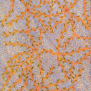 Ngurlu Jukurrpa (Native Seed Dreaming) by Geraldine Napurrurla Langdon