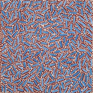 Warlukurlangu Jukurrpa (Fire country Dreaming) by Nathania Nangala Granites