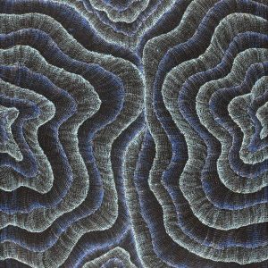 Wanakiji Jukurrpa (Bush Tomato Dreaming) by Debbie Napaljarri Brown