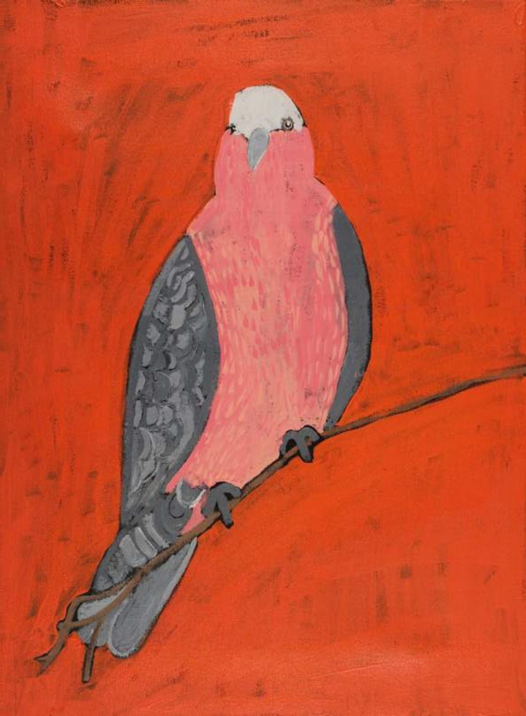 Jurlpu kuja kalu nyinami Yurntumu-wana (Birds that live around Yuendumu) by Wilma Napangardi Poulson