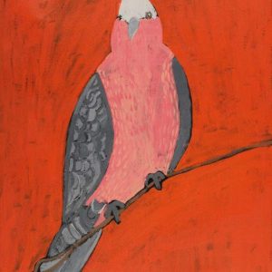 Jurlpu kuja kalu nyinami Yurntumu-wana (Birds that live around Yuendumu) by Wilma Napangardi Poulson
