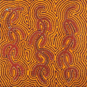 Ngapa Jukurrpa (Water Dreaming) - Puyurru by Diandra Nangala Dixon