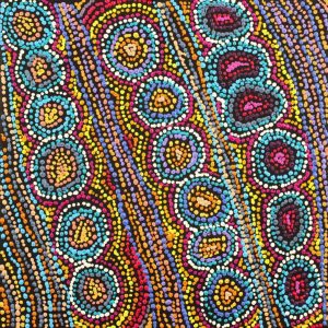 Lappi Lappi Jukurrpa (Lappi Lappi Dreaming) by Christine Napanangka Michaels