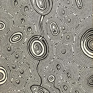 Janganpa Jukurrpa (Brush-tail Possum Dreaming)- Mawurrji by Janelle Napurrurla Wilson