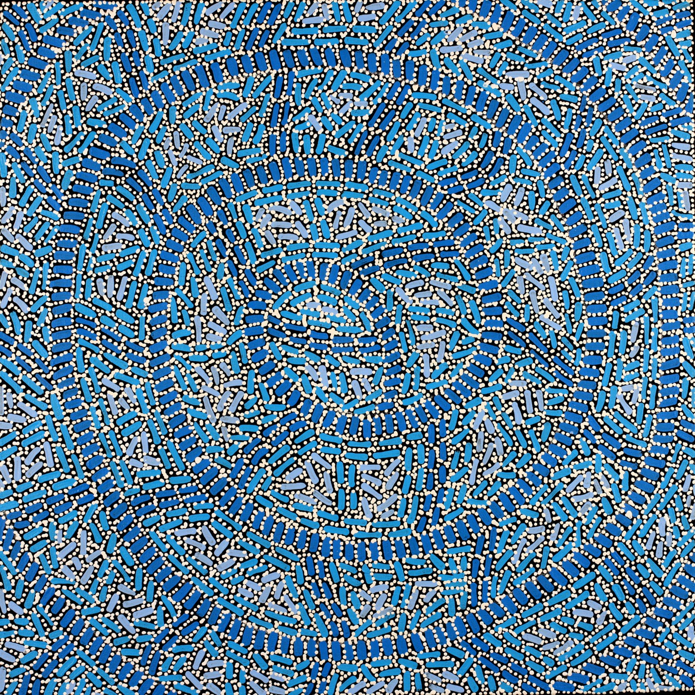 Warlukurlangu Jukurrpa (Fire country Dreaming) by Nathania Nangala Granites